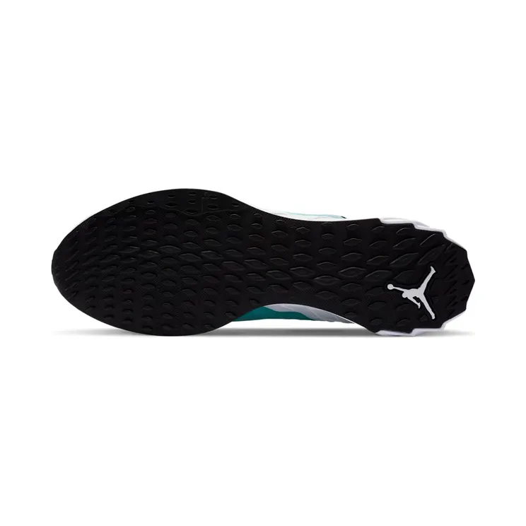 jordan-zoom-trunner CJ1495-301