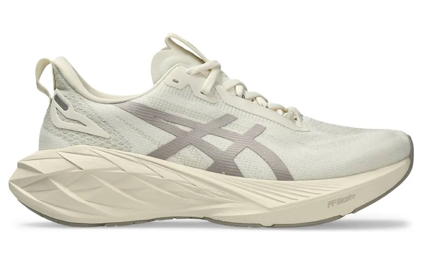 ASICS Novablast 4 Le Birch Moonrock (1011B887-200)