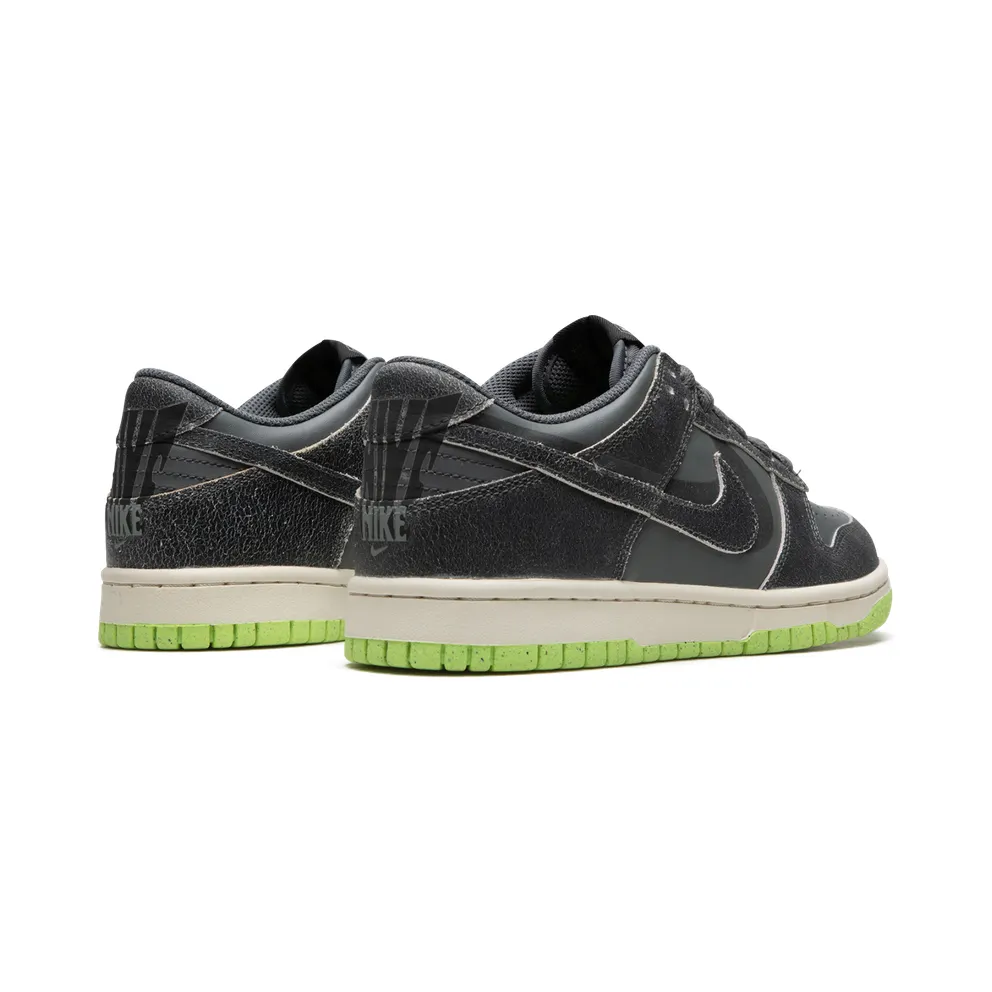 Nike Dunk Low SE Older Kids’ Grey (DQ6215-001)