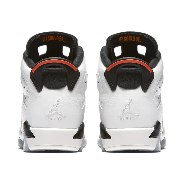 air-jordan-6 384665-145