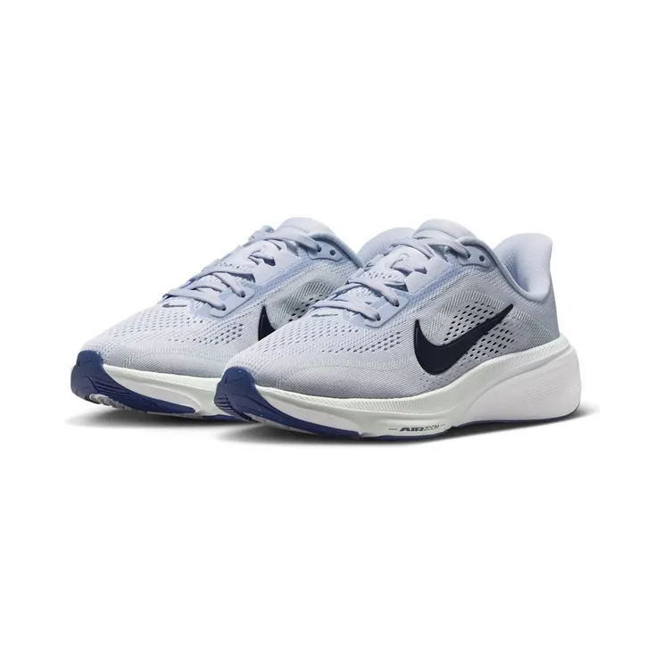 nike-air-pegasus IH2306-004