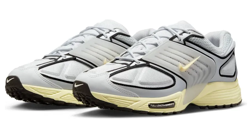 nike-air-pegasus IB0612-008