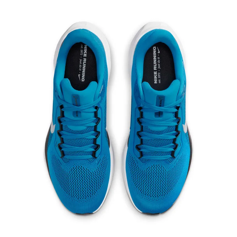 Nike Air Zoom Pegasus 41 Carolina Panthers (2025) (IB3211-400)
