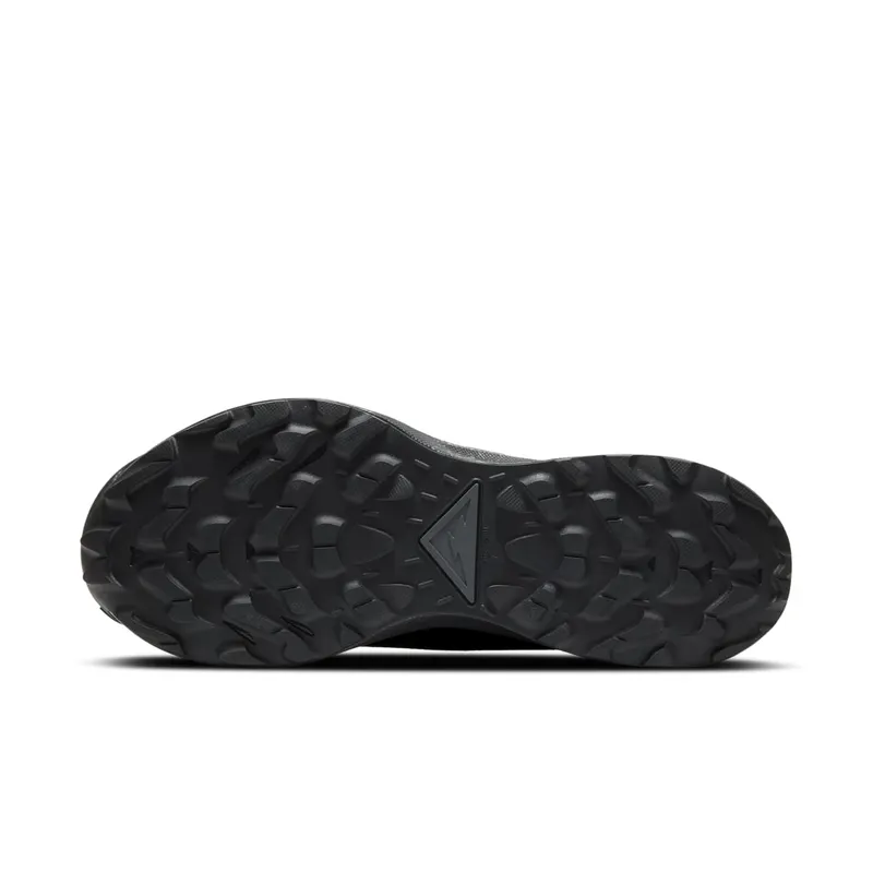 Nike Pegasus Trail 2 GORE-TEX Trail Running Black (CU2016-001)