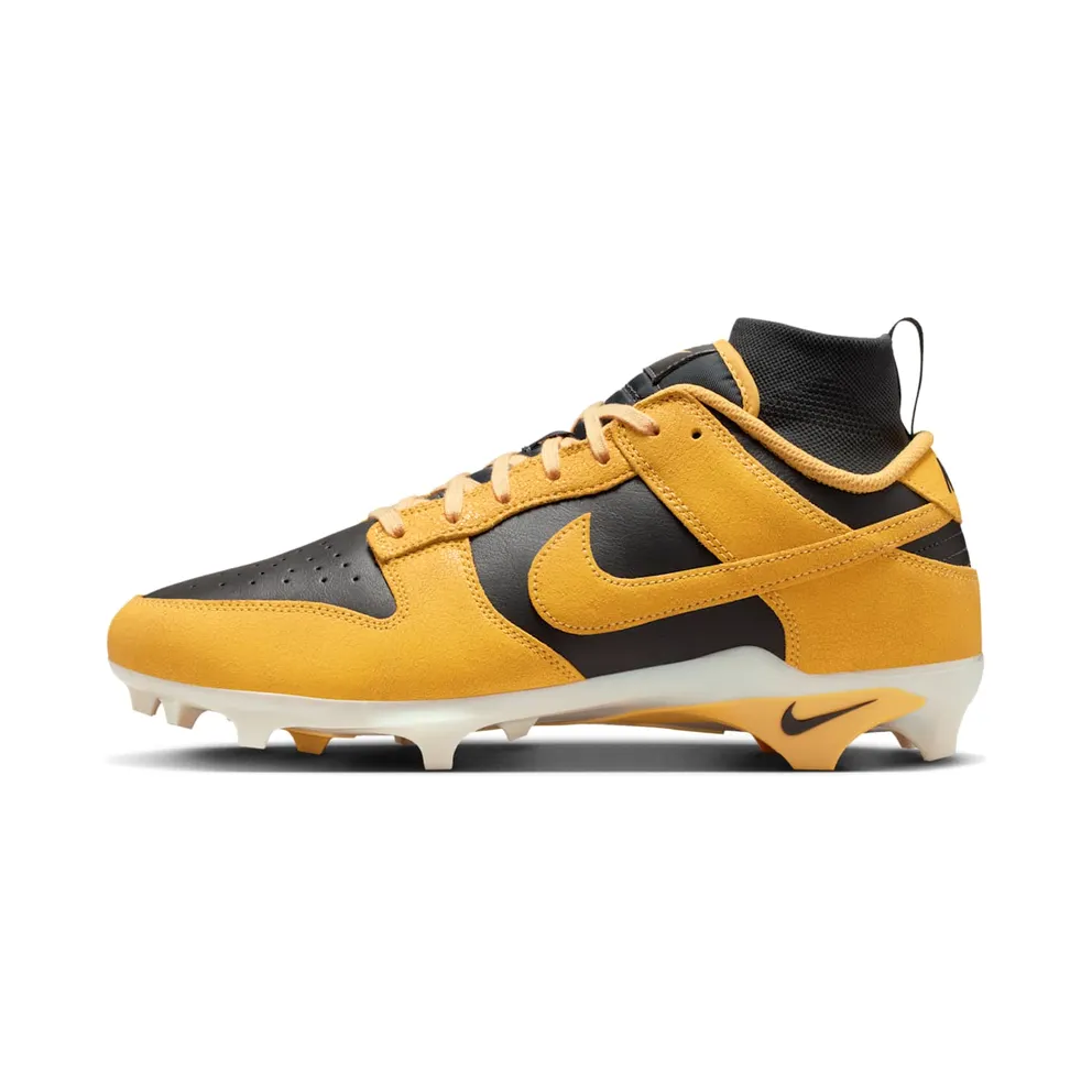 Nike Alpha Menace Dunk “Iowa” (HV6925-001)