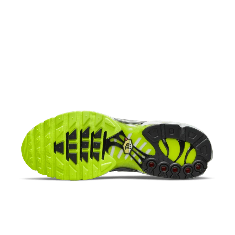 Nike Air Max Plus Platinum Grey Reflective Logos (DB0682-002)