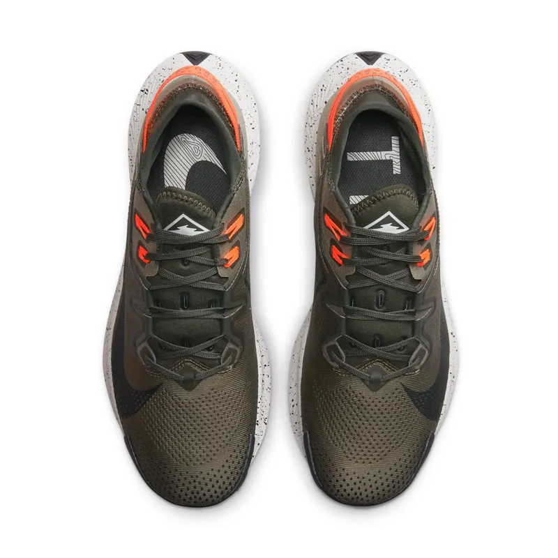Nike Pegasus Trail 2 Trailrunningschoen for Men Brown (CK4305-301)