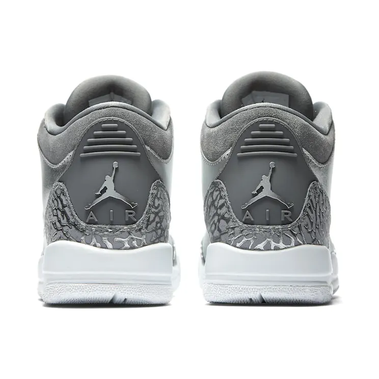air-jordan-3 AA1243-020