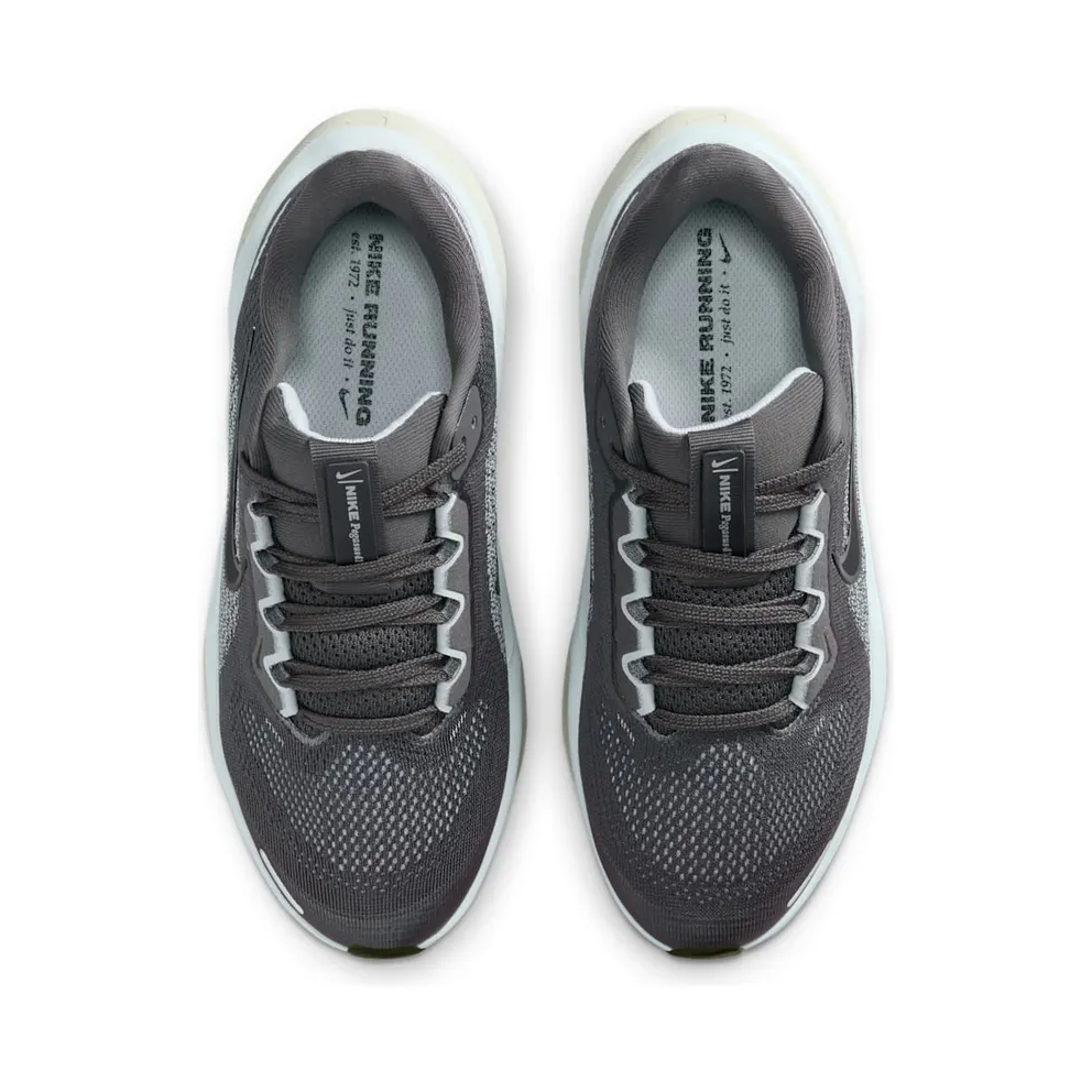 Nike Air Zoom Pegasus 41 Medium Ash Pale Ivory Black (FN5041-201)