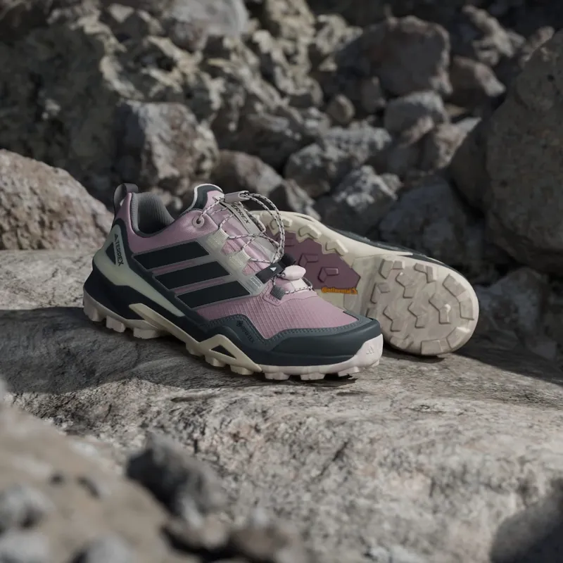 Adidas Terrex Skychaser GORE-TEX Hiking Putty Mauve / Core Black / Core Black (KJ8919)