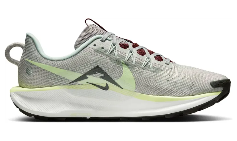 nike-air-pegasus DV3864-004