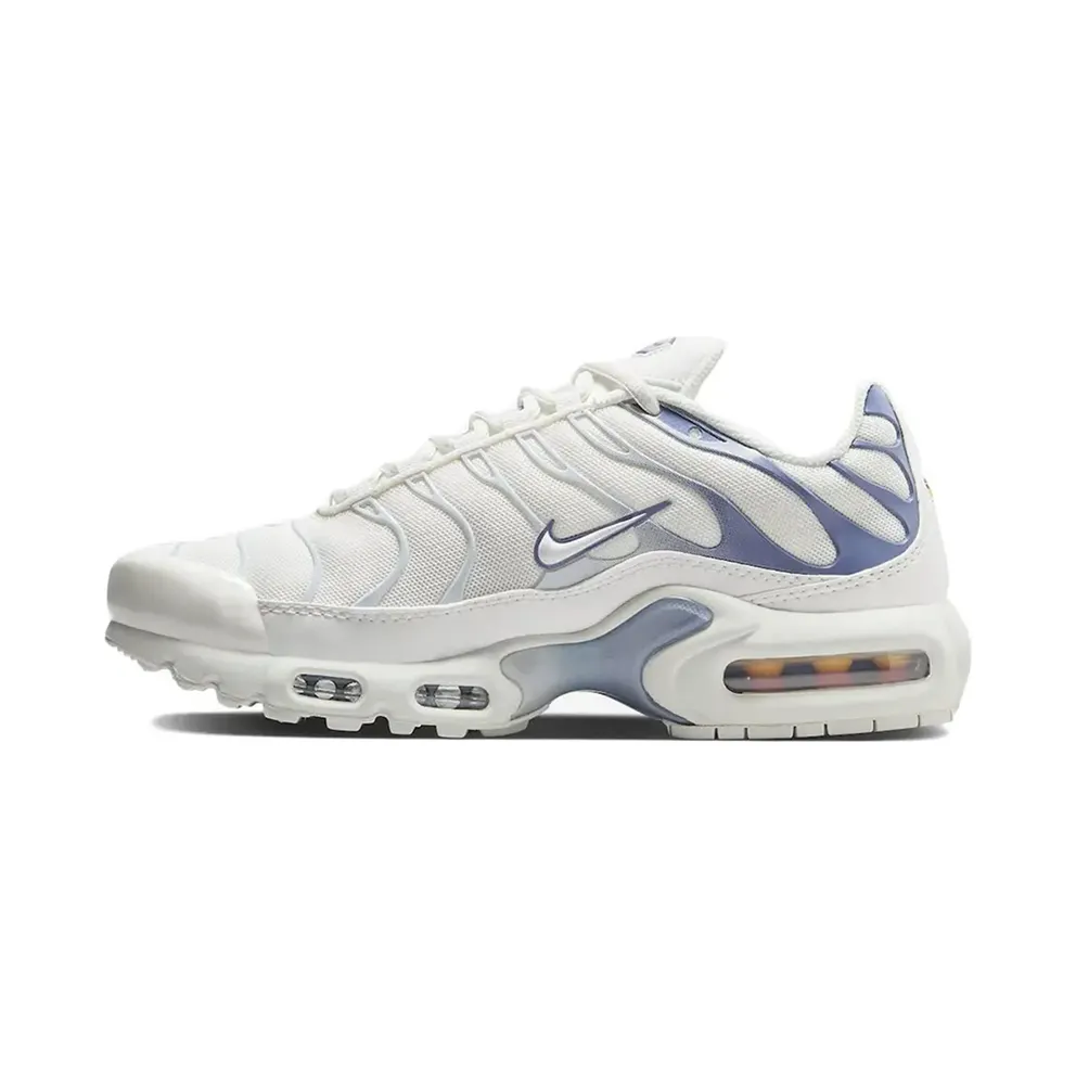 Nike Air Max Plus Ashen Slate (DZ3671-104)