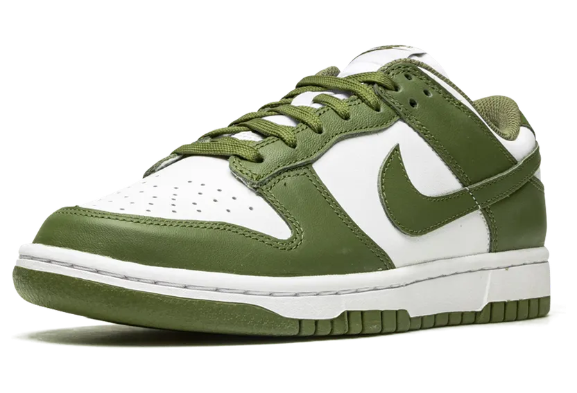 nike-dunk DD1503-120