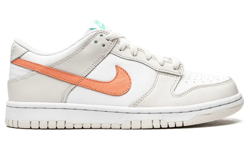 nike-dunk CW1590-101