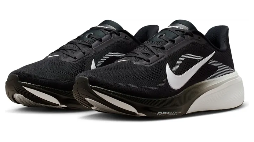 nike-air-pegasus IB1873-001