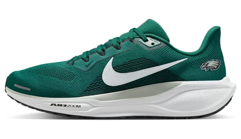 Nike Air Zoom IB3215-300