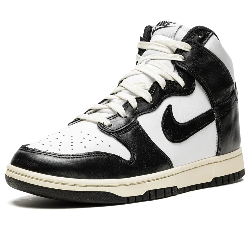 nike-dunk DQ8581-100