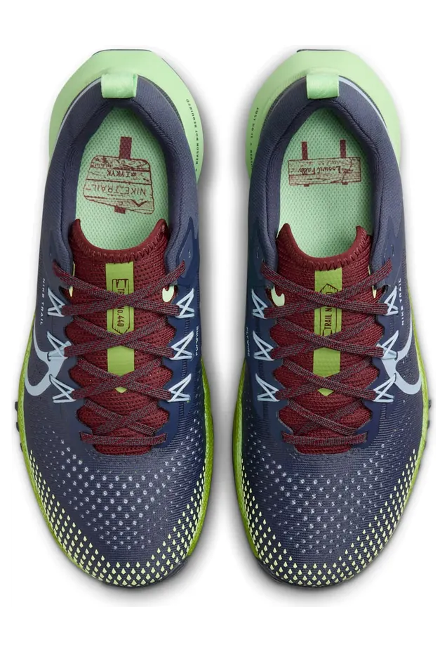 nike-air-pegasus DJ6159-403