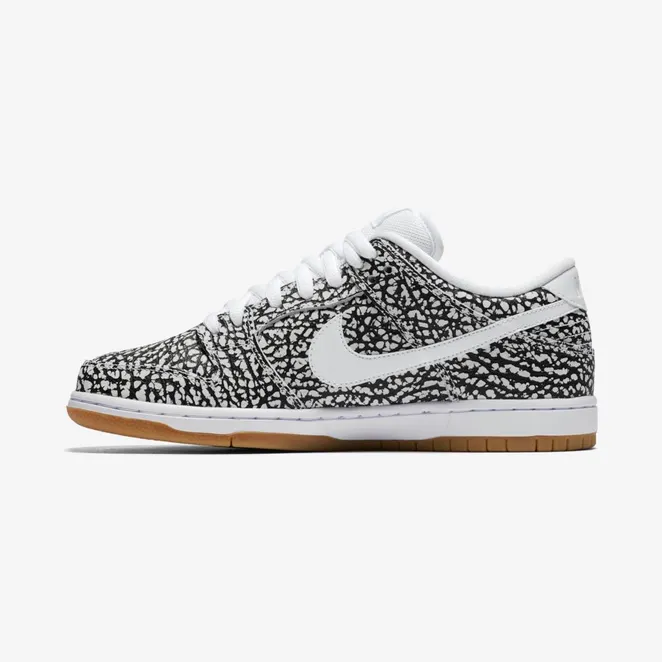 nike-dunk-sb 313170-110