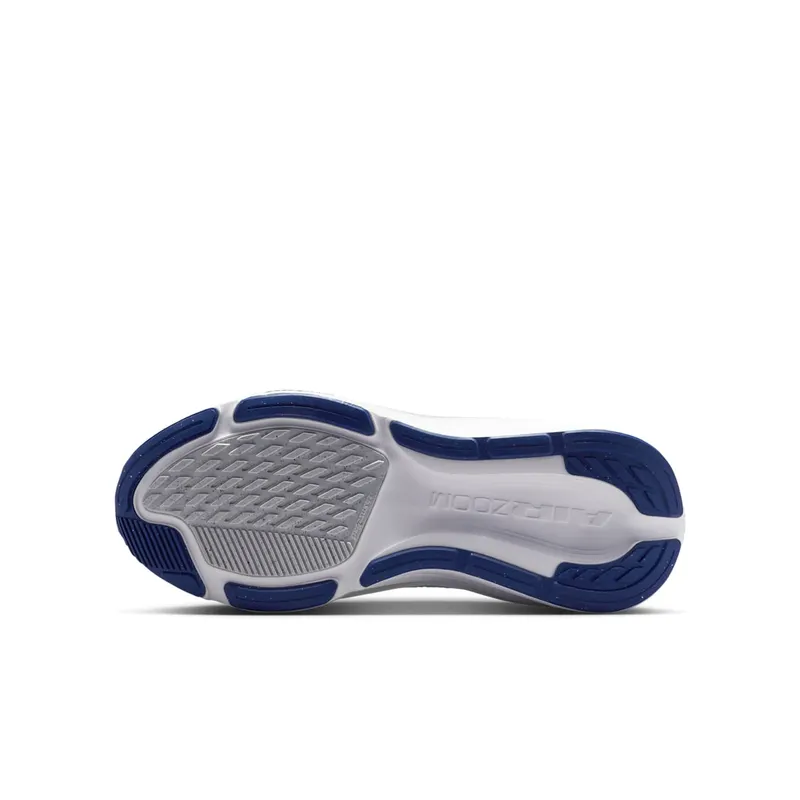 Nike Pegasus Football Grey/Football Grey/Barely Green/Blue Void (IH2306-004)