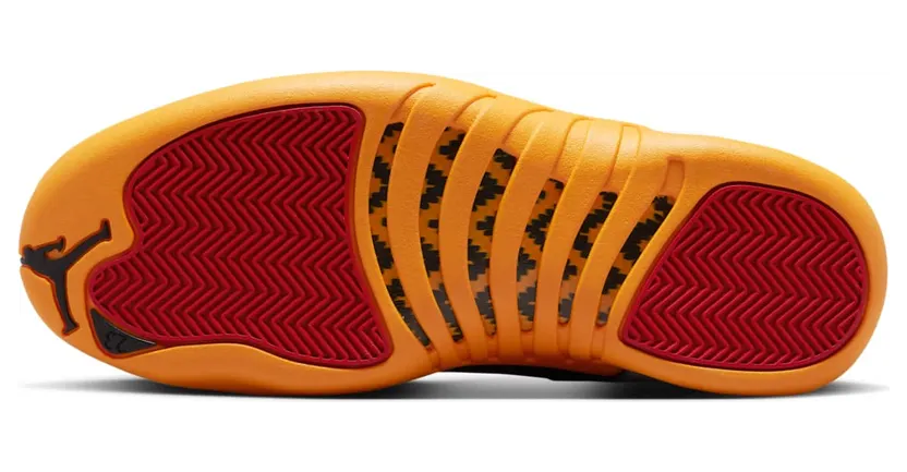air-jordan-12 DR8887-100