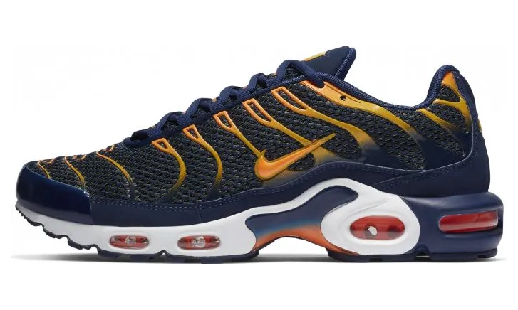 Nike Air Max Plus Blue Void University Gold
