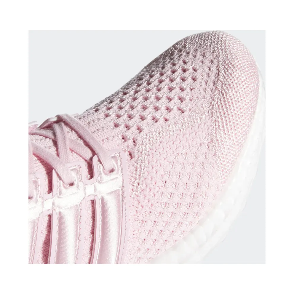 adidas Ultraboost 5.0 DNA Clear Pink / Clear Pink / Cloud White (GV7721)