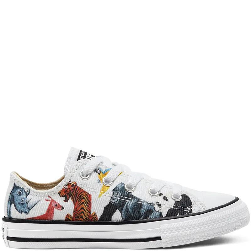 Converse Big Science Class Chuck Taylor All Star Low Top (668462C)