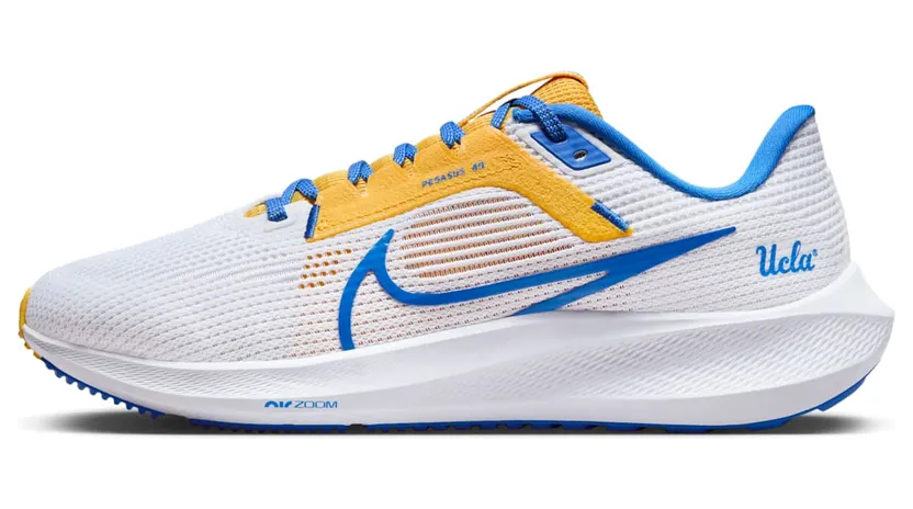 nike-air-pegasus DZ5988-100