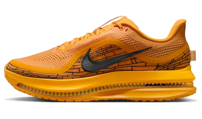 nike-air-pegasus IH3256-700