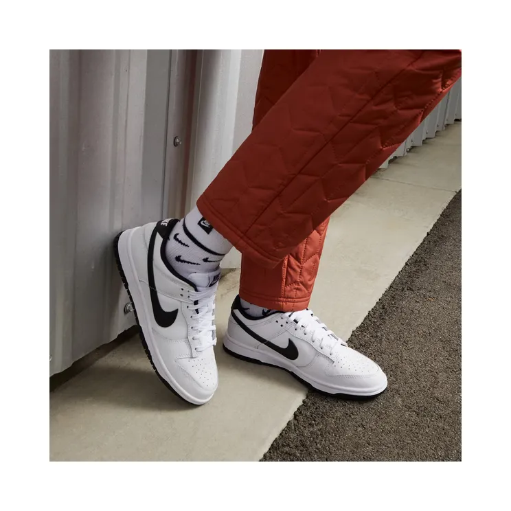 nike-dunk DD1503-113