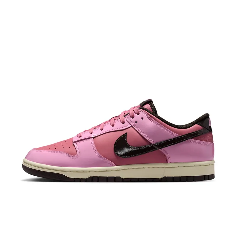 Nike Dunk Low Retro “Donut” (IM4415-600)