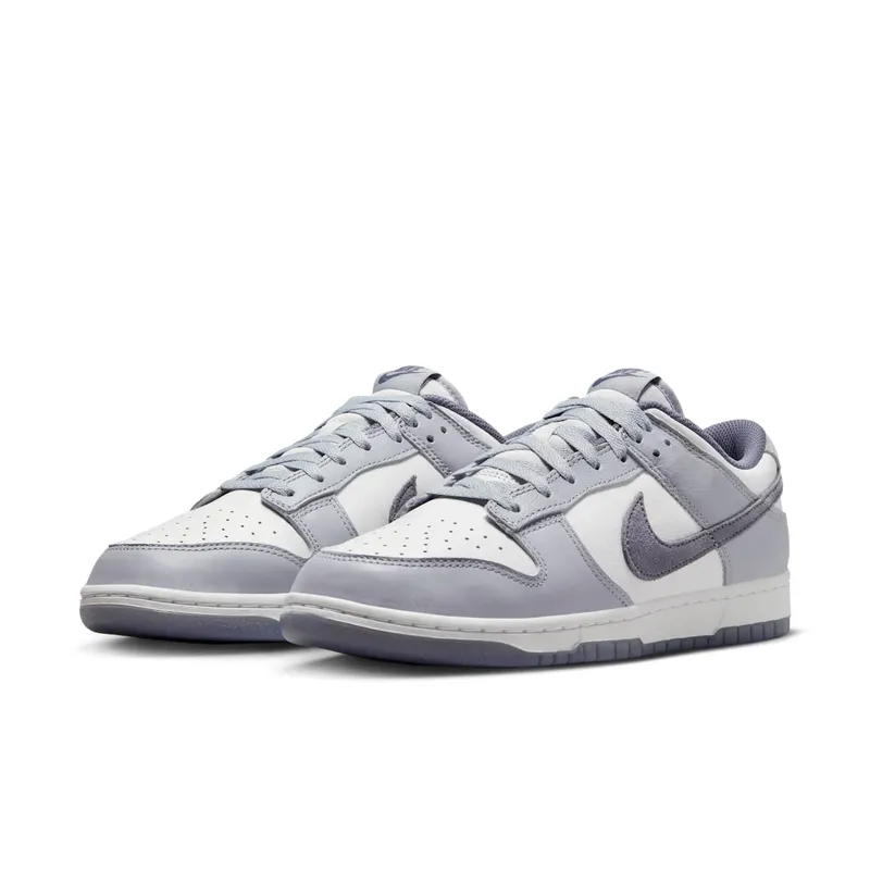 Nike Dunk Low SE Light Carbon Grey (FJ4188-100)