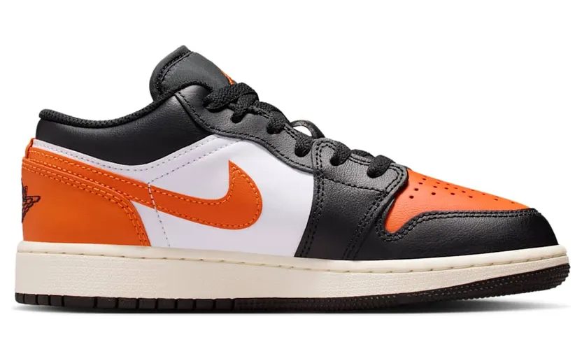 air-jordan-1 553560-081