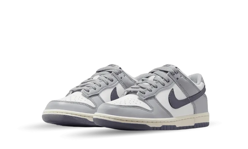 Nike Dunk Low SE Light Carbon Grey (GS) (FB9109-101)