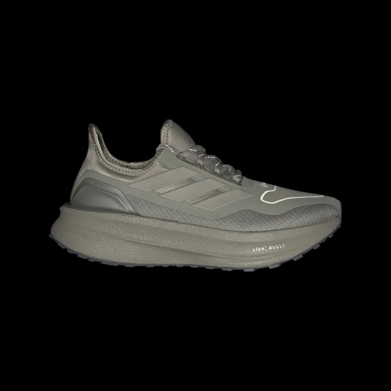 Adidas ULTRABOOST 5 GTX Silver Pebble / Silver Pebble / Grey Five (JS2840)