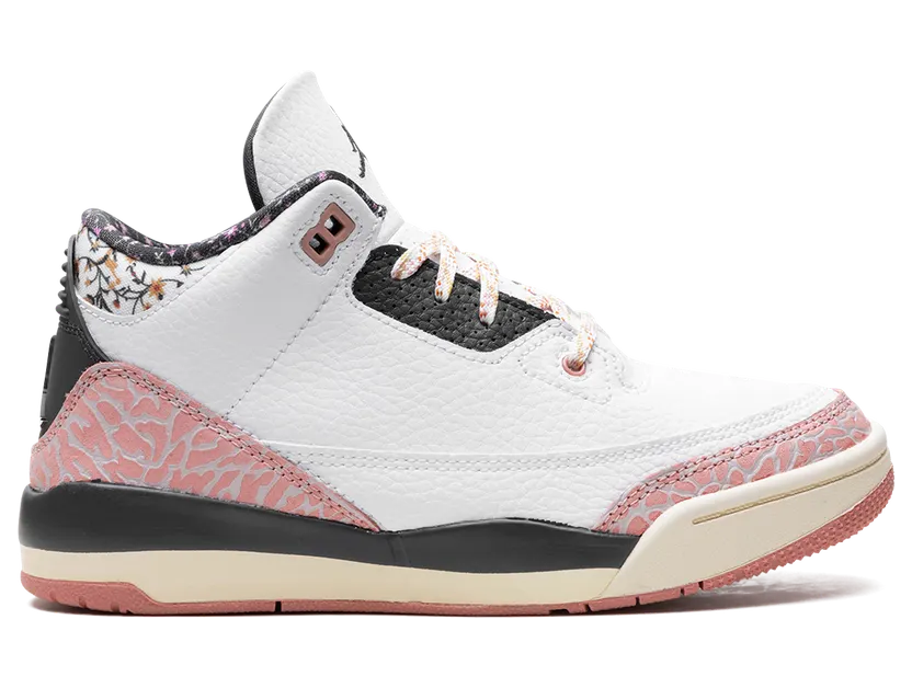 air-jordan-3 FQ9174-100