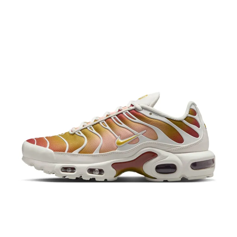 Nike Air Max Plus Grey (DZ3670-007)
