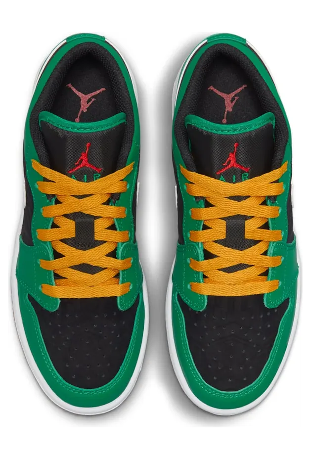 air-jordan-1 DQ8421-300