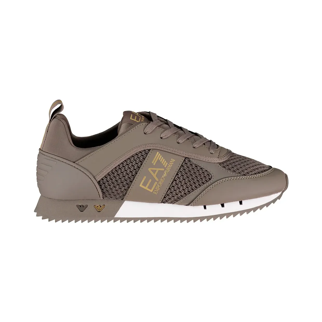Ea7 Emporio Armani Falcon / Gold (7X000334AF18610M657T10)