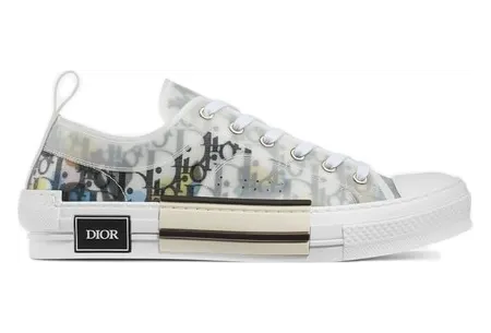 Dior B23 Low Top Alex Foxton Oblique