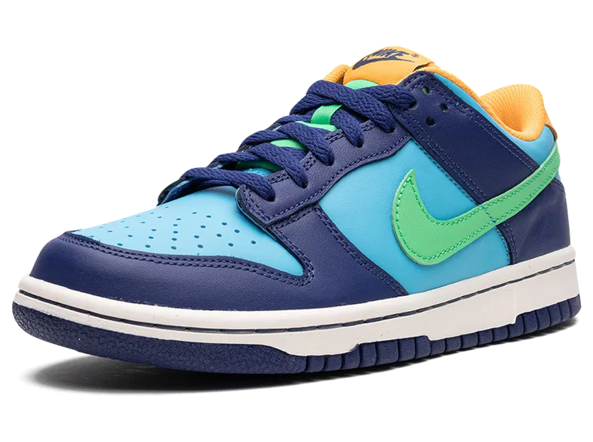 nike-dunk DV1693-401