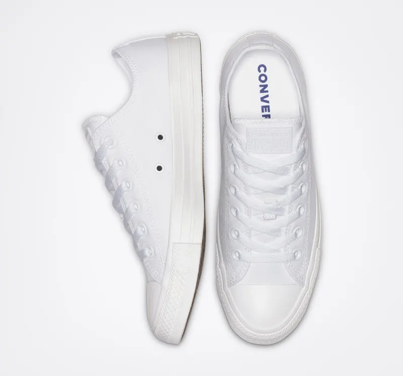 Converse Mono Colour Chuck Taylor All Star Low Top (1U647)