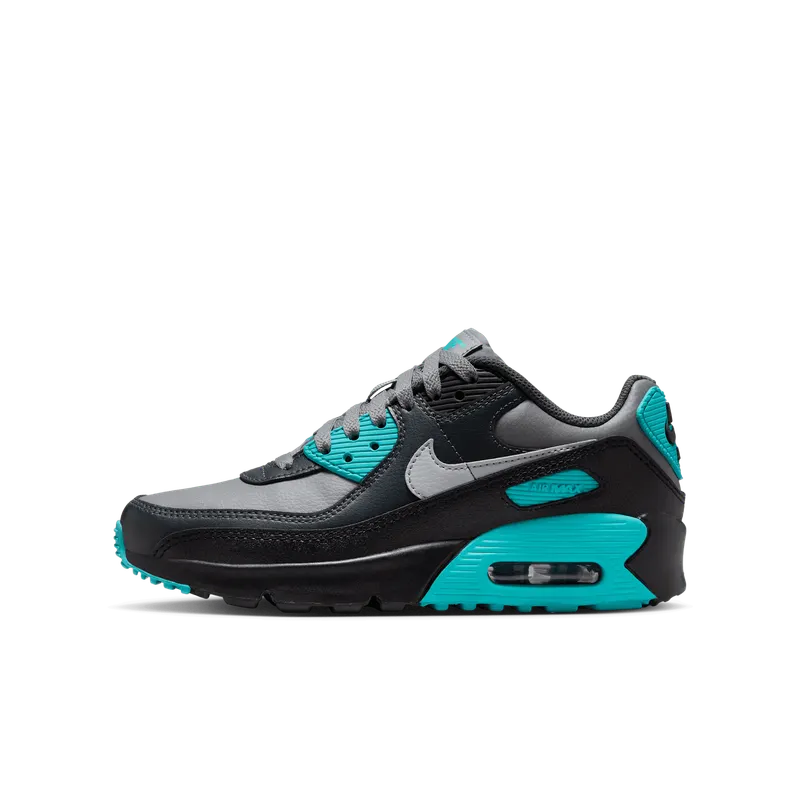 Nike Air Max 90 LTR Cool Grey Dusty Cactus Black Wolf Grey (CD6864-027)
