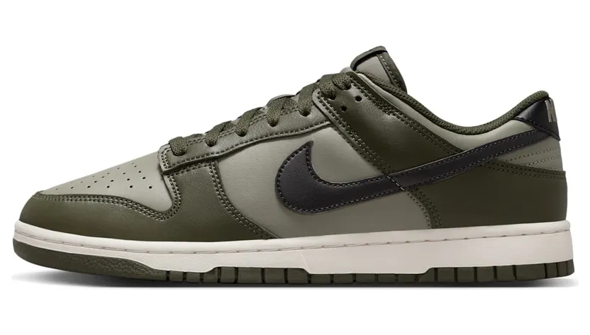 Nike Dunk Low HF5441-300