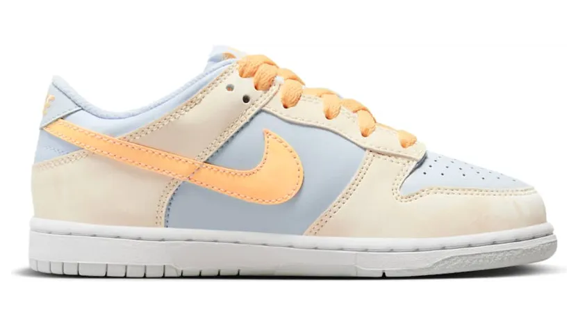 nike-dunk FB9108-100