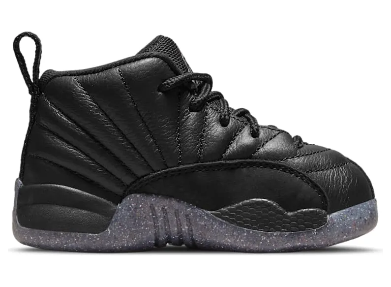 air-jordan-12 DM5206-006