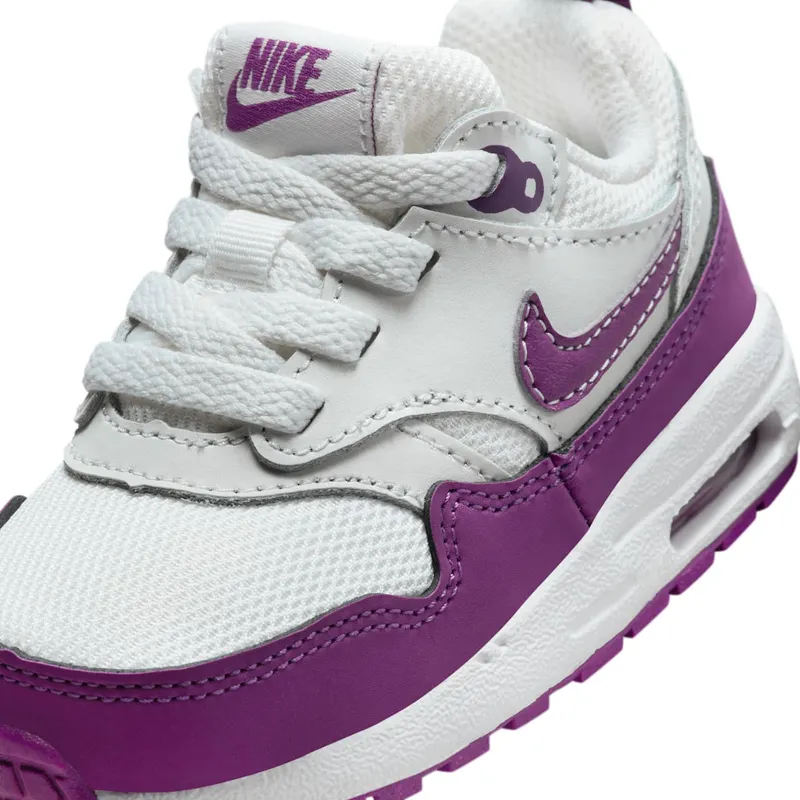 Nike Air Max 1 Summit White/White/Viotech (DZ3309-109)