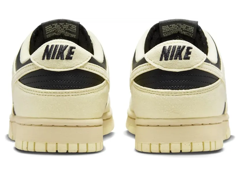 nike-dunk HJ7673-005