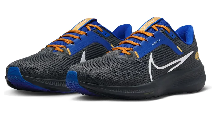 nike-air-pegasus DZ5958-001